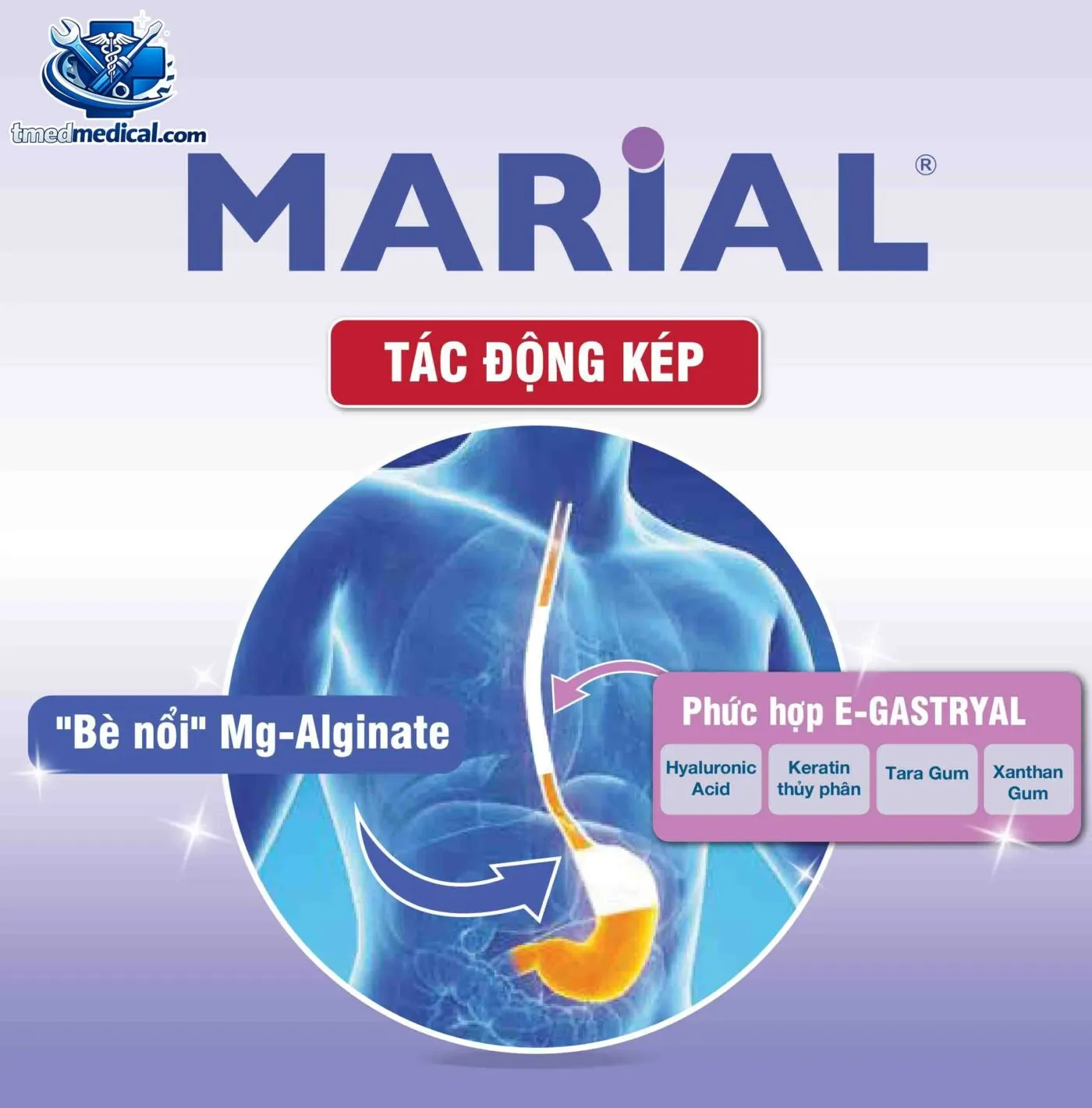 tác dụng của Marial gel đối với sức khỏe tiêu hóa