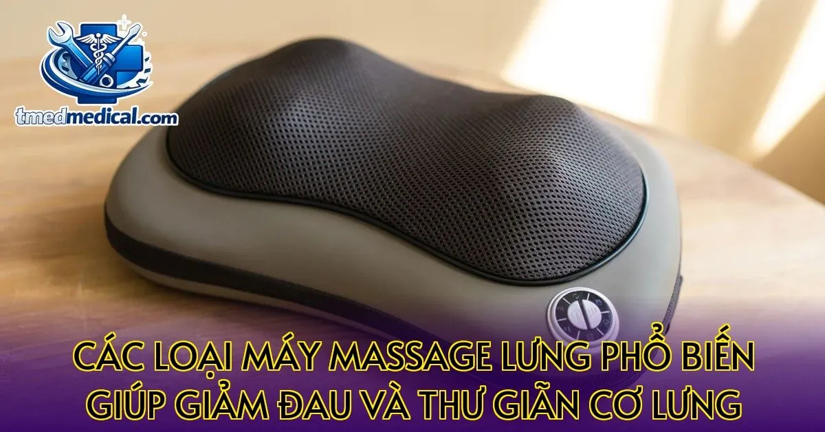 Các loại máy massage lưng phổ biến giúp giảm đau và thư giãn cơ lưng